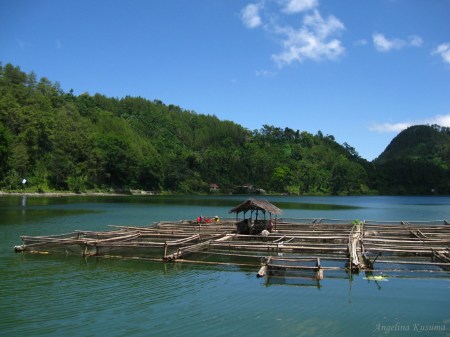Panorama usaha tambak ikan khas Telaga Ngebel Ponorogo1